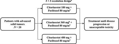 Phase Ib Study of the Histone Deacetylase 6 Inhibitor Citarinostat in Combination With Paclitaxel in Patients With Advanced Solid Tumors